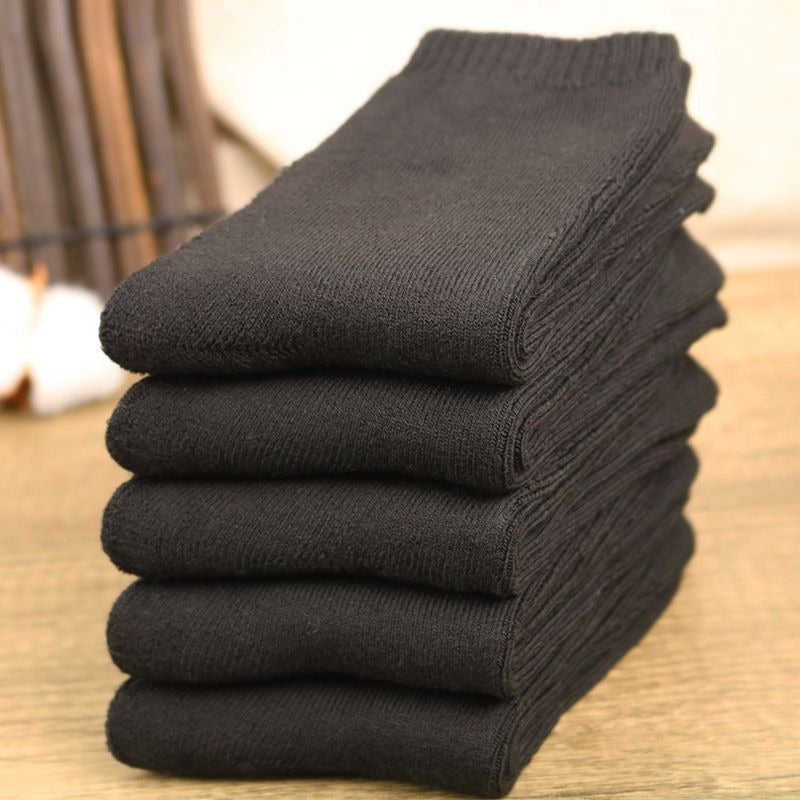 Chaussettes Cozy Bear Trek — Lot de 5